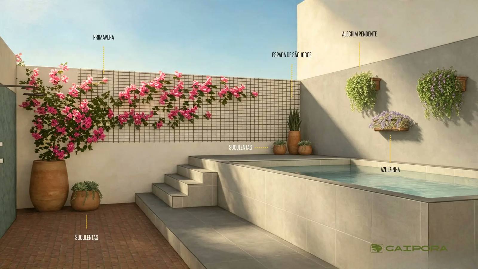 Design de paisagismo para área de piscina com trepadeira Primavera, Azulzinha pendente e suculentas, executado pela Caipora Paisagismo em Foz do Iguaçu e região.