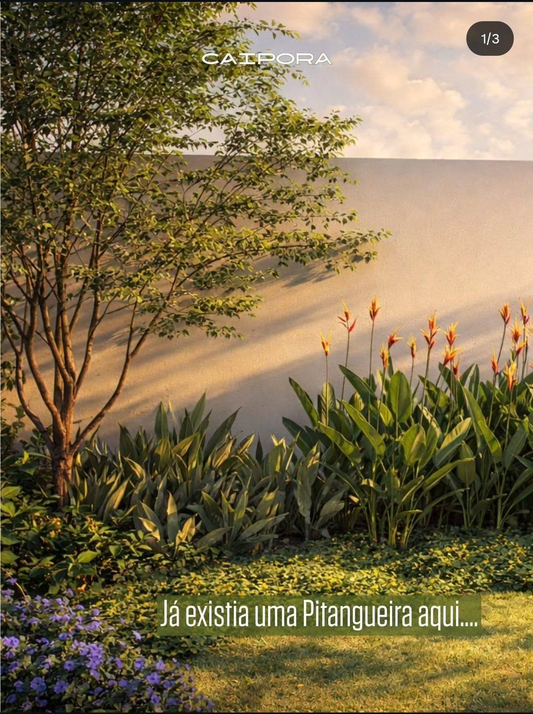 Projeto paisagístico 3D mostrando a preservação de uma Pitangueira existente integrada com Helicônias e folhagens tropicais.